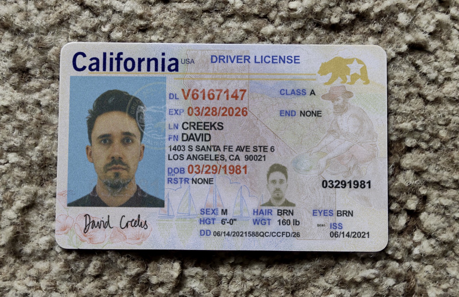 Photo du faux permis de conduire